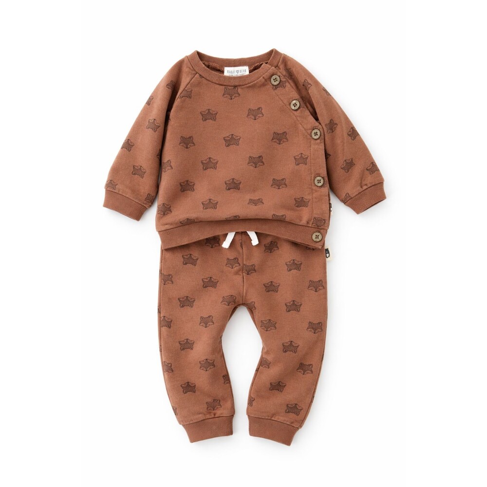 Rabbit Bear Baby Outfit Set Organic Cotton Brown Fox Print 18M